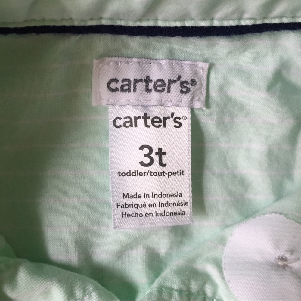 Light green button down - Picture 3 of 3